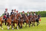 The Light Cavalry HAC Annual Review and Inspection 2013.
Windsor Great Park Review Ground,
Windsor,
Berkshire,
United Kingdom,
on 09 June 2013 at 13:32, image #413