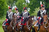 The Light Cavalry HAC Annual Review and Inspection 2013.
Windsor Great Park Review Ground,
Windsor,
Berkshire,
United Kingdom,
on 09 June 2013 at 13:35, image #450