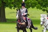 The Light Cavalry HAC Annual Review and Inspection 2013.
Windsor Great Park Review Ground,
Windsor,
Berkshire,
United Kingdom,
on 09 June 2013 at 13:36, image #461