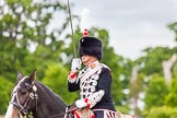 The Light Cavalry HAC Annual Review and Inspection 2013.
Windsor Great Park Review Ground,
Windsor,
Berkshire,
United Kingdom,
on 09 June 2013 at 13:40, image #479