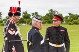 The Light Cavalry HAC Annual Review and Inspection 2013.
Windsor Great Park Review Ground,
Windsor,
Berkshire,
United Kingdom,
on 09 June 2013 at 14:23, image #511