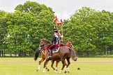 The Light Cavalry HAC Annual Review and Inspection 2013.
Windsor Great Park Review Ground,
Windsor,
Berkshire,
United Kingdom,
on 09 June 2013 at 14:36, image #552