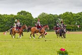 The Light Cavalry HAC Annual Review and Inspection 2013.
Windsor Great Park Review Ground,
Windsor,
Berkshire,
United Kingdom,
on 09 June 2013 at 14:37, image #558