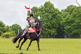 The Light Cavalry HAC Annual Review and Inspection 2013.
Windsor Great Park Review Ground,
Windsor,
Berkshire,
United Kingdom,
on 09 June 2013 at 14:38, image #562
