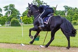 The Light Cavalry HAC Annual Review and Inspection 2013.
Windsor Great Park Review Ground,
Windsor,
Berkshire,
United Kingdom,
on 09 June 2013 at 14:54, image #597