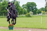 The Light Cavalry HAC Annual Review and Inspection 2013.
Windsor Great Park Review Ground,
Windsor,
Berkshire,
United Kingdom,
on 09 June 2013 at 14:55, image #599