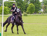 The Light Cavalry HAC Annual Review and Inspection 2013.
Windsor Great Park Review Ground,
Windsor,
Berkshire,
United Kingdom,
on 09 June 2013 at 14:58, image #602