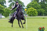 The Light Cavalry HAC Annual Review and Inspection 2013.
Windsor Great Park Review Ground,
Windsor,
Berkshire,
United Kingdom,
on 09 June 2013 at 15:00, image #605