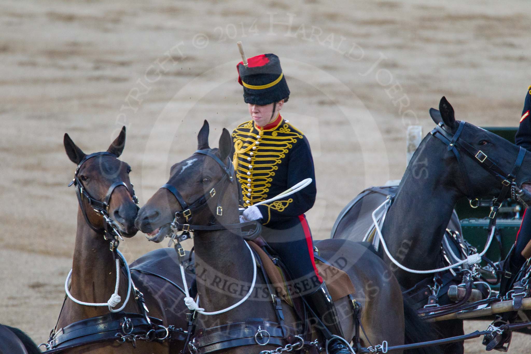 Beating Retreat 2014.
Horse Guards Parade, Westminster,
London SW1A,

United Kingdom,
on 11 June 2014 at 20:50, image #214