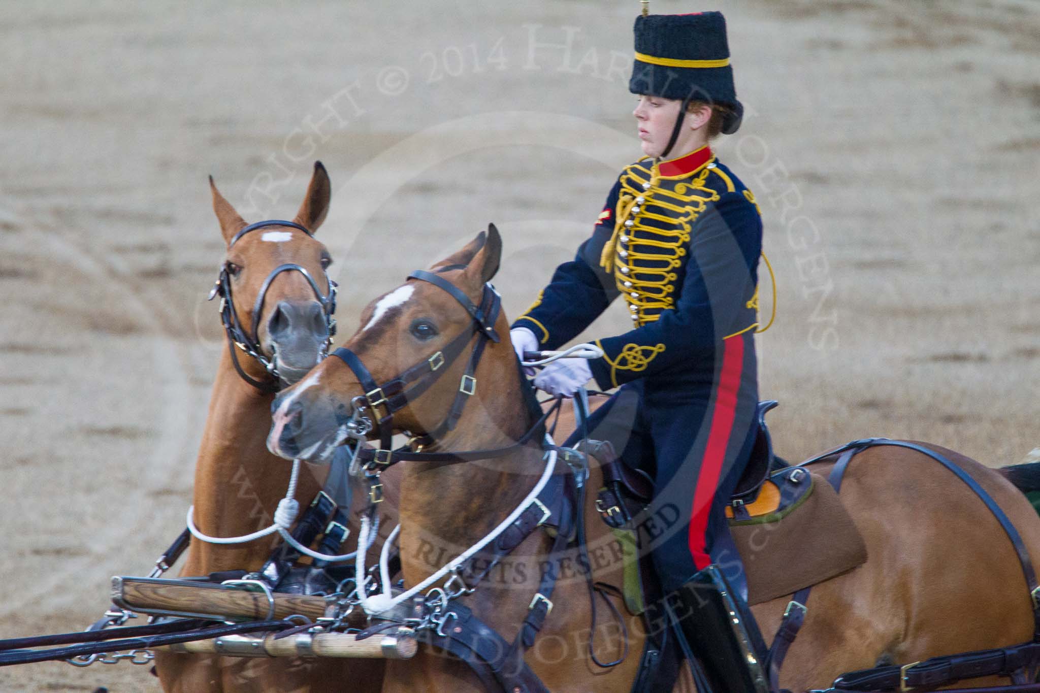 Beating Retreat 2014.
Horse Guards Parade, Westminster,
London SW1A,

United Kingdom,
on 11 June 2014 at 20:50, image #215