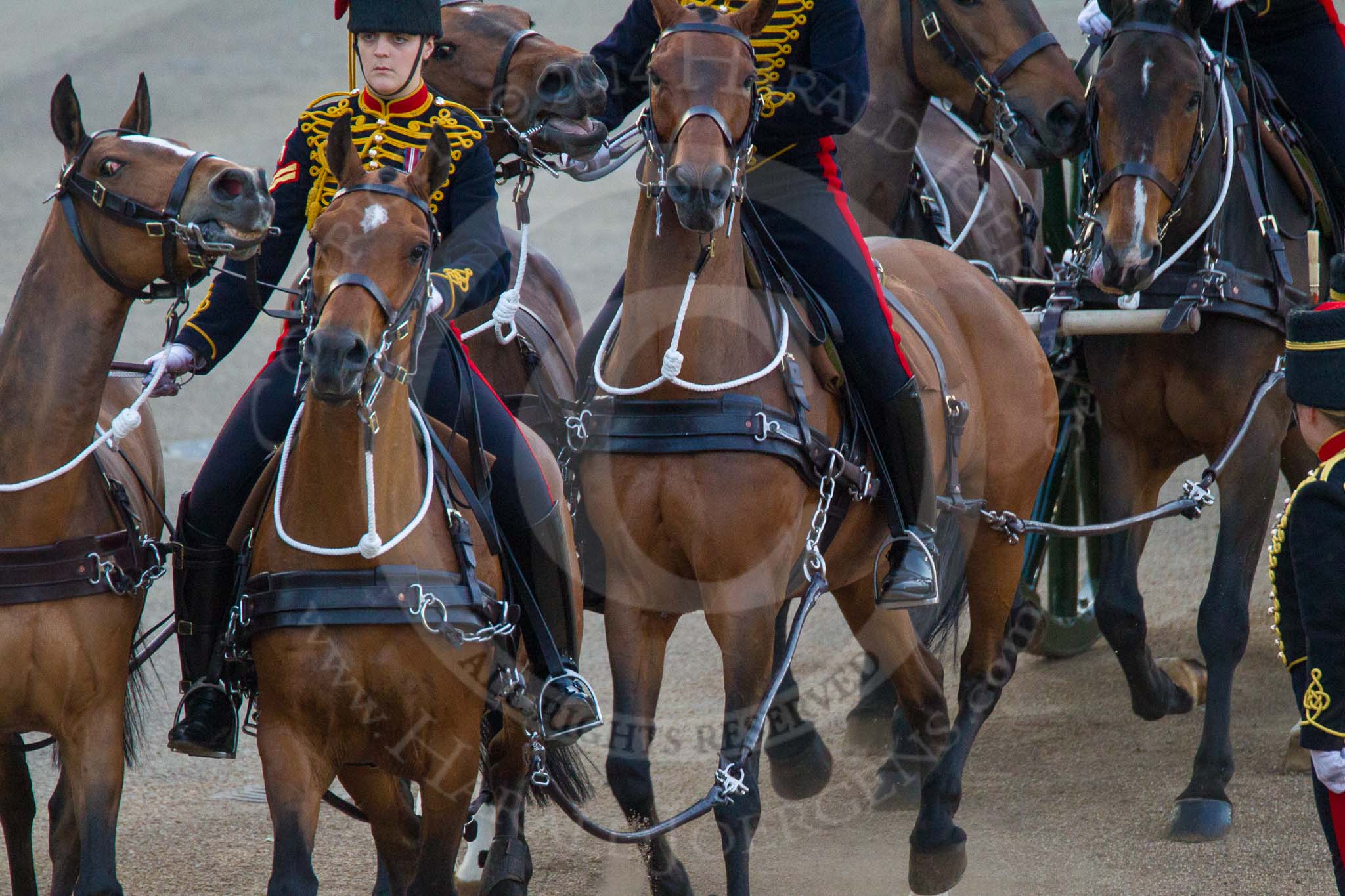 Beating Retreat 2014.
Horse Guards Parade, Westminster,
London SW1A,

United Kingdom,
on 11 June 2014 at 20:51, image #219