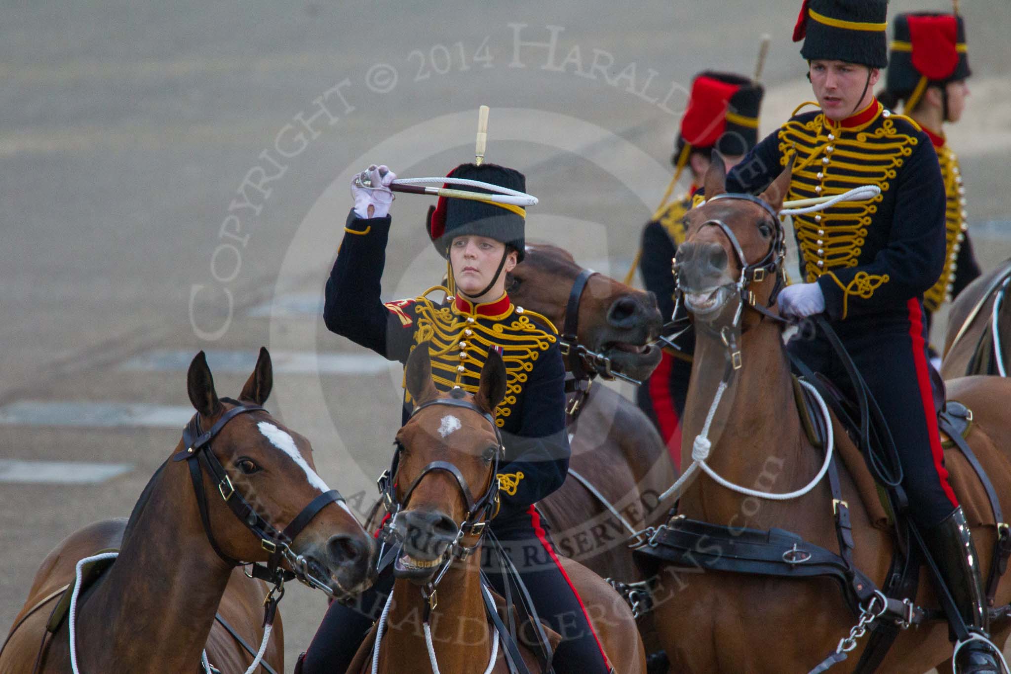 Beating Retreat 2014.
Horse Guards Parade, Westminster,
London SW1A,

United Kingdom,
on 11 June 2014 at 20:51, image #221