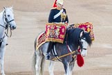 Beating Retreat 2014.
Horse Guards Parade, Westminster,
London SW1A,

United Kingdom,
on 11 June 2014 at 20:16, image #72