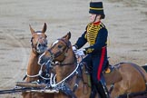 Beating Retreat 2014.
Horse Guards Parade, Westminster,
London SW1A,

United Kingdom,
on 11 June 2014 at 20:50, image #215