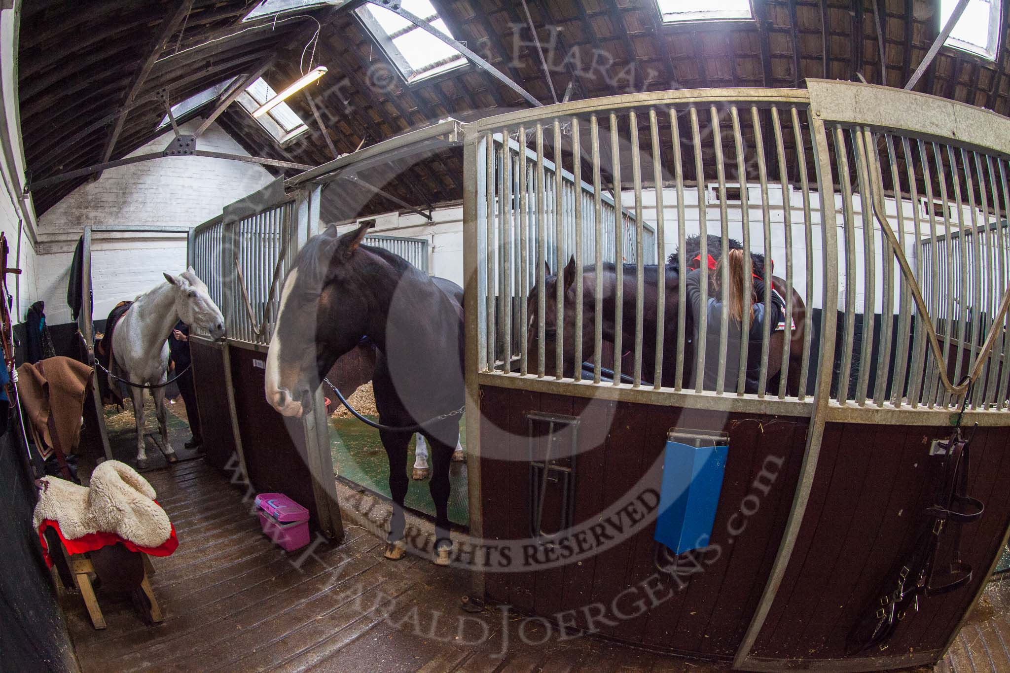 The Light Cavalry HAC Annual Review and Inspection 2014.
Flemish Farm, Windsor Great Park,



on 12 October 2014 at 09:51, image #14