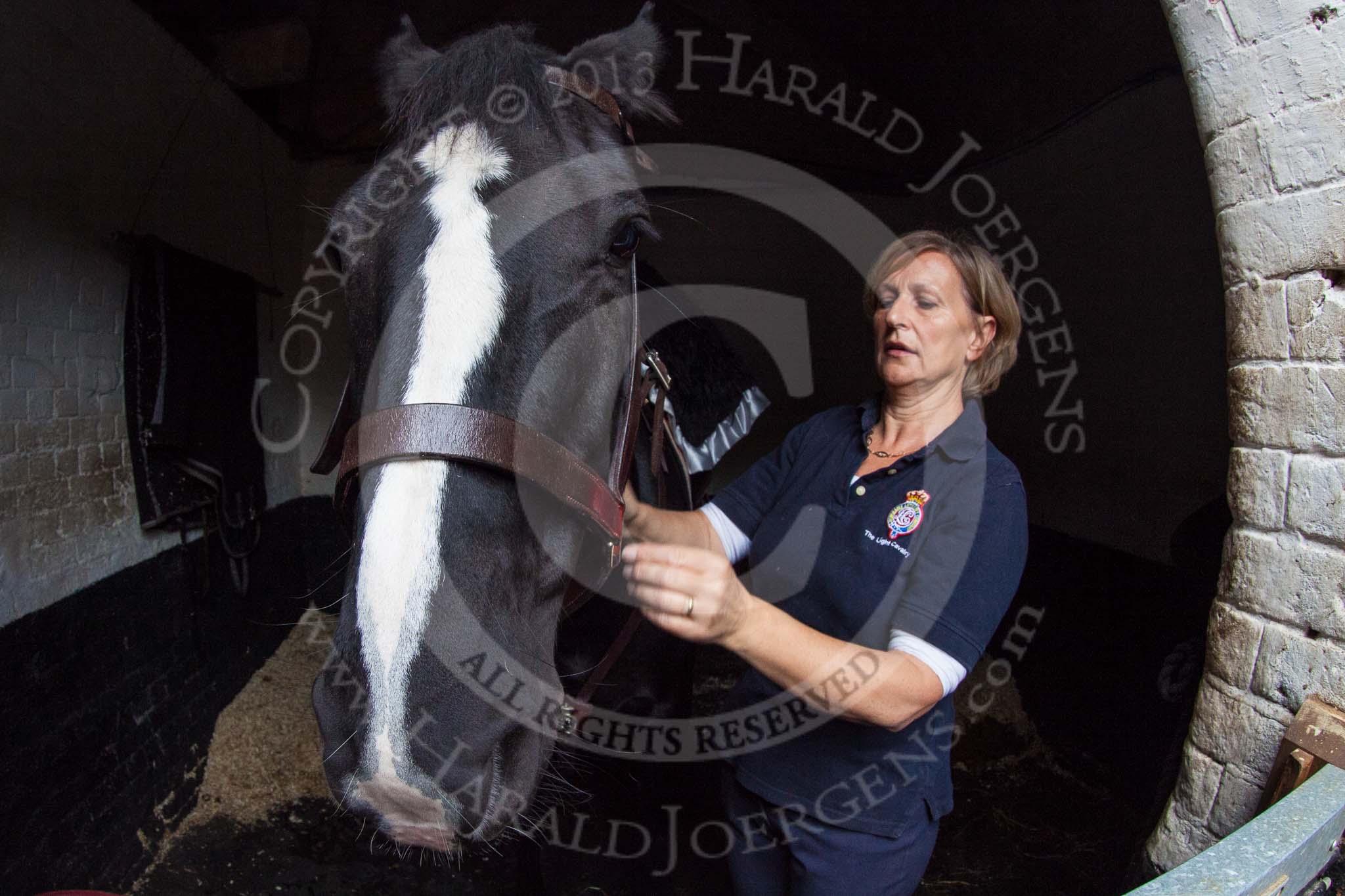 The Light Cavalry HAC Annual Review and Inspection 2014.
Flemish Farm, Windsor Great Park,



on 12 October 2014 at 09:58, image #17