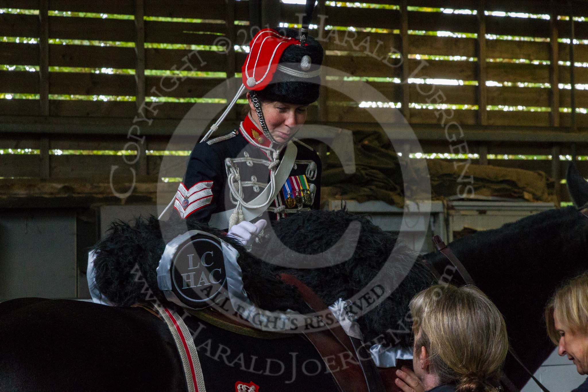 The Light Cavalry HAC Annual Review and Inspection 2014.
Flemish Farm, Windsor Great Park,



on 12 October 2014 at 10:26, image #34
