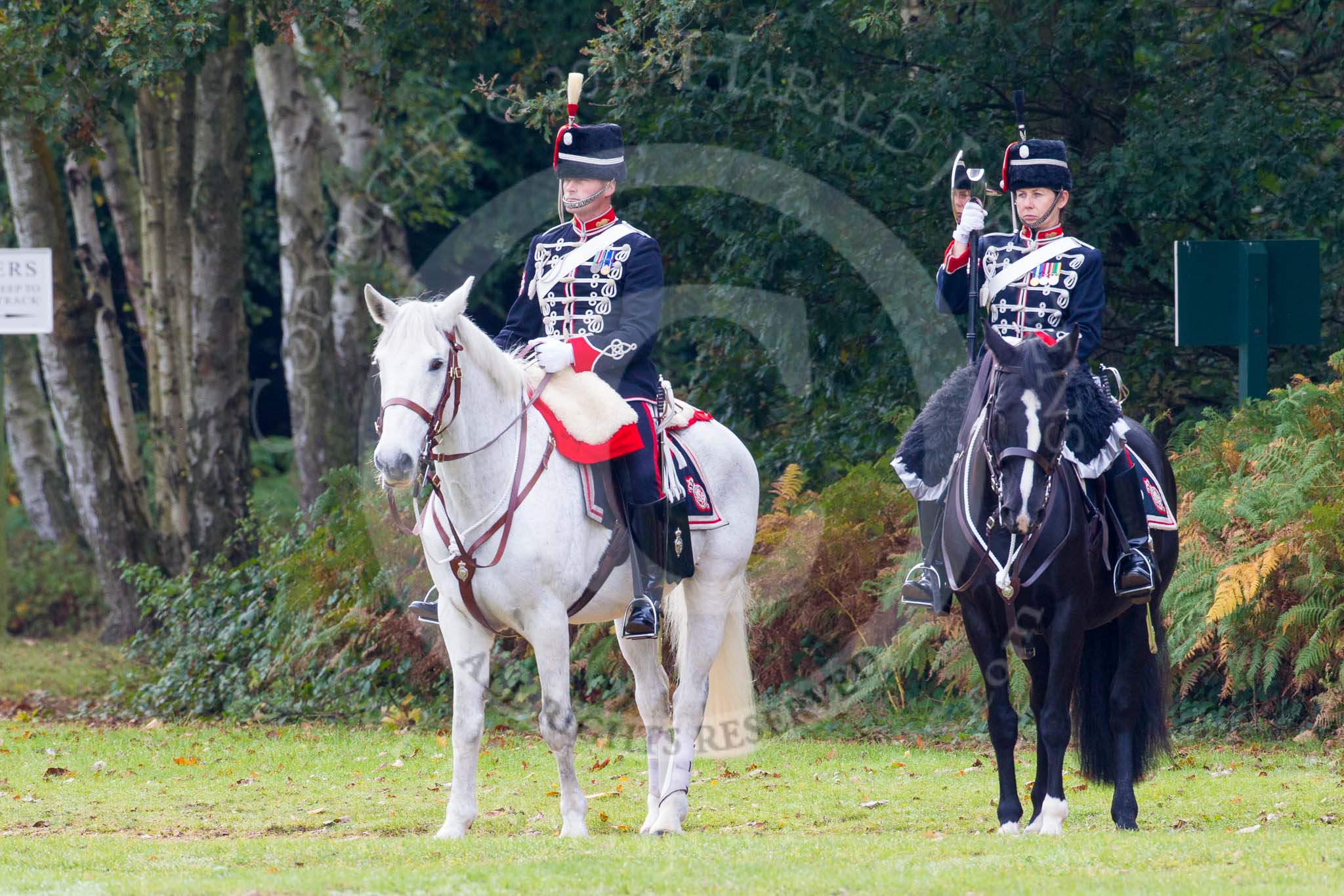 The Light Cavalry HAC Annual Review and Inspection 2014.
Guards Polo Club. Windsor Great Park,



on 12 October 2014 at 12:26, image #65
