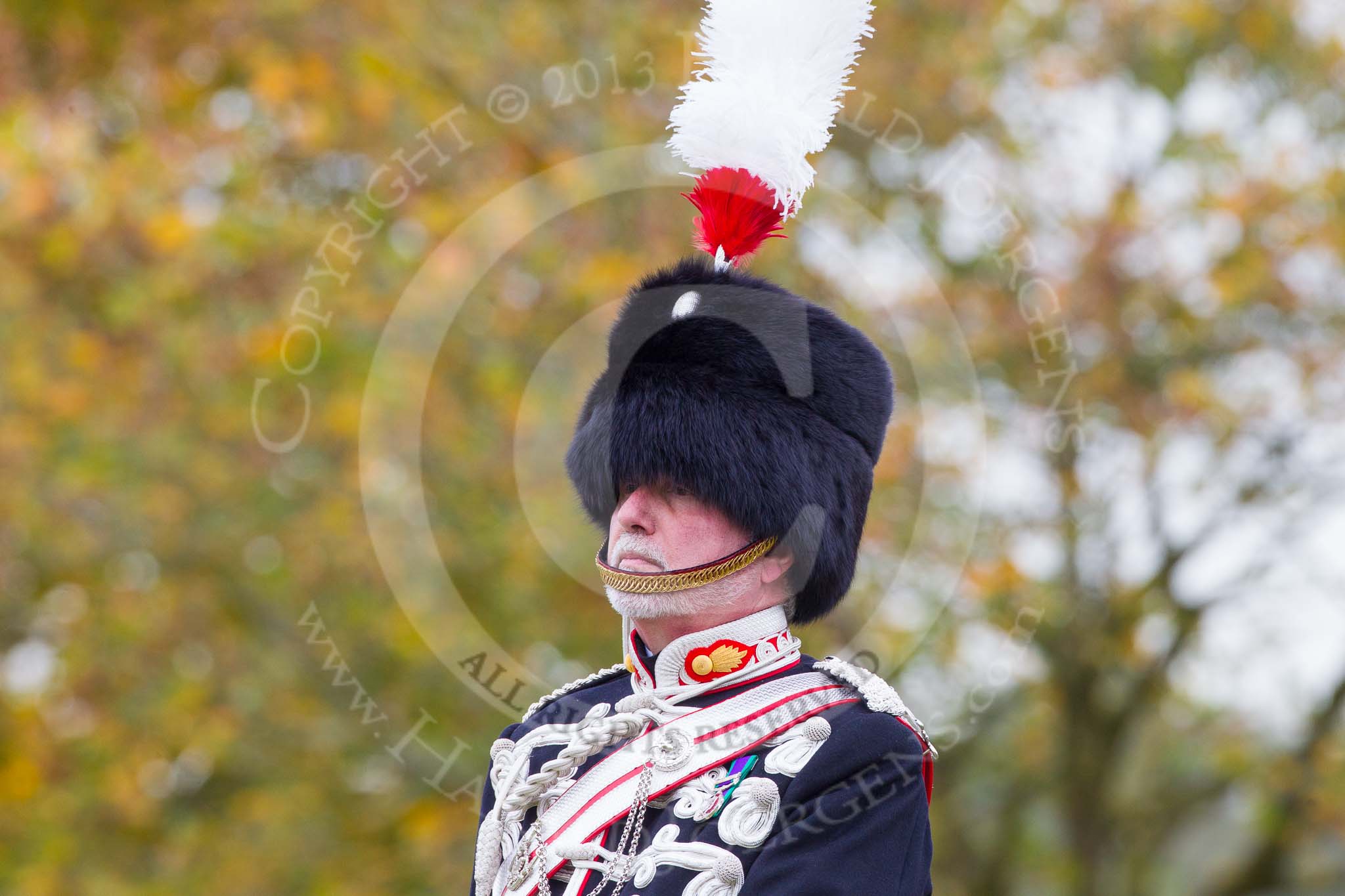 The Light Cavalry HAC Annual Review and Inspection 2014.
Guards Polo Club. Windsor Great Park,



on 12 October 2014 at 12:41, image #85