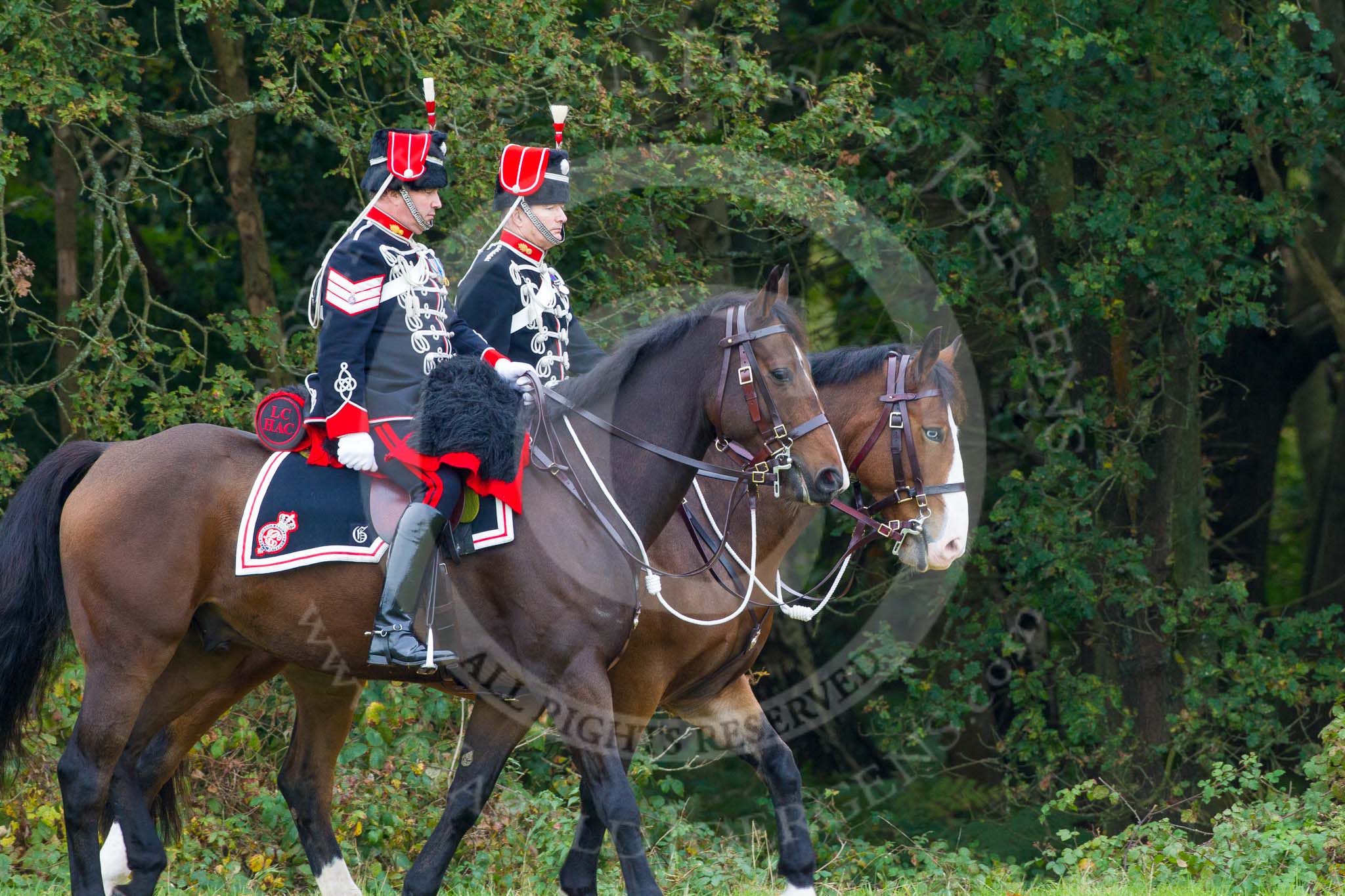 The Light Cavalry HAC Annual Review and Inspection 2014.
Guards Polo Club. Windsor Great Park,



on 12 October 2014 at 12:42, image #86