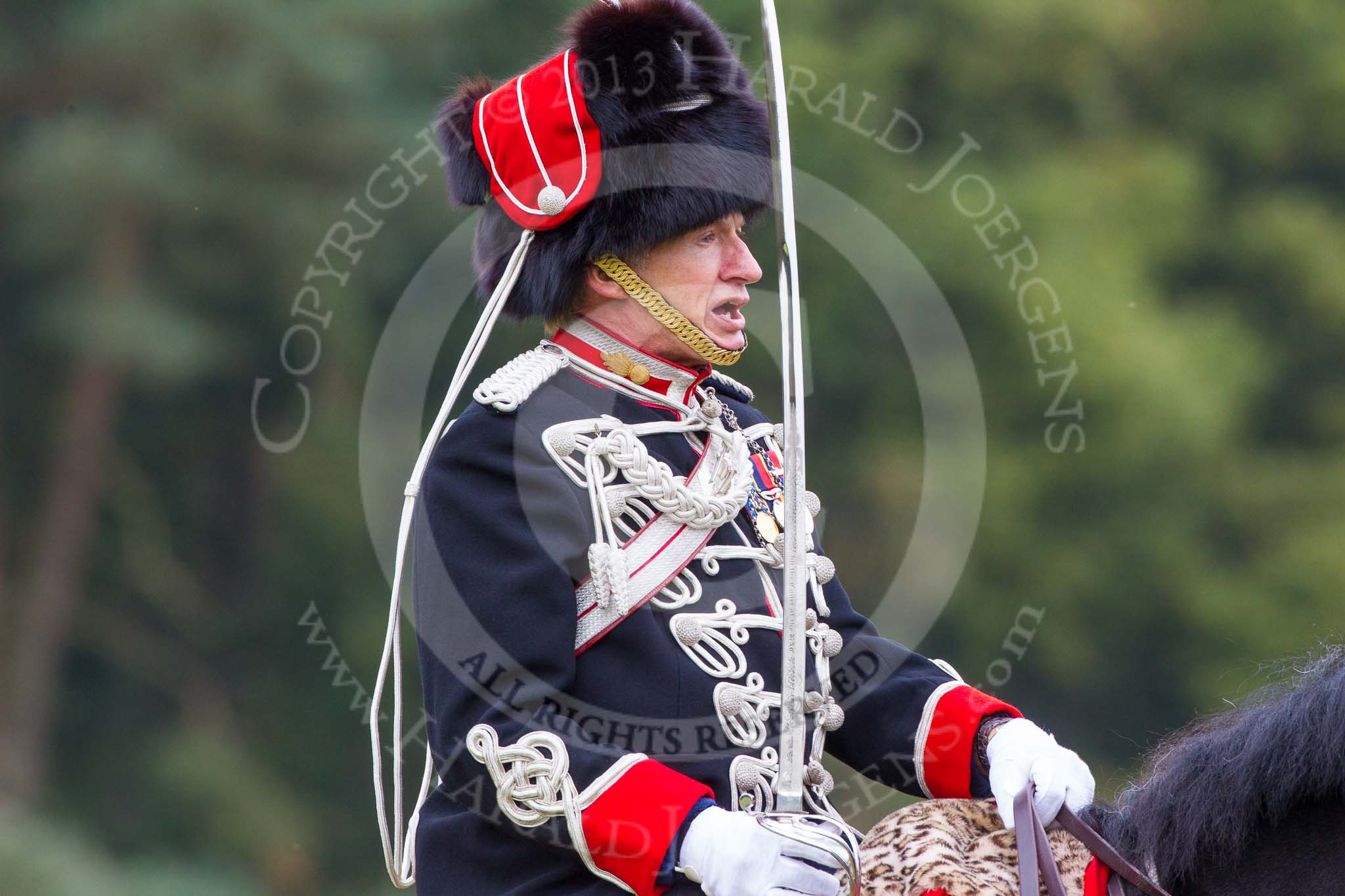 The Light Cavalry HAC Annual Review and Inspection 2014.
Guards Polo Club. Windsor Great Park,



on 12 October 2014 at 12:51, image #115