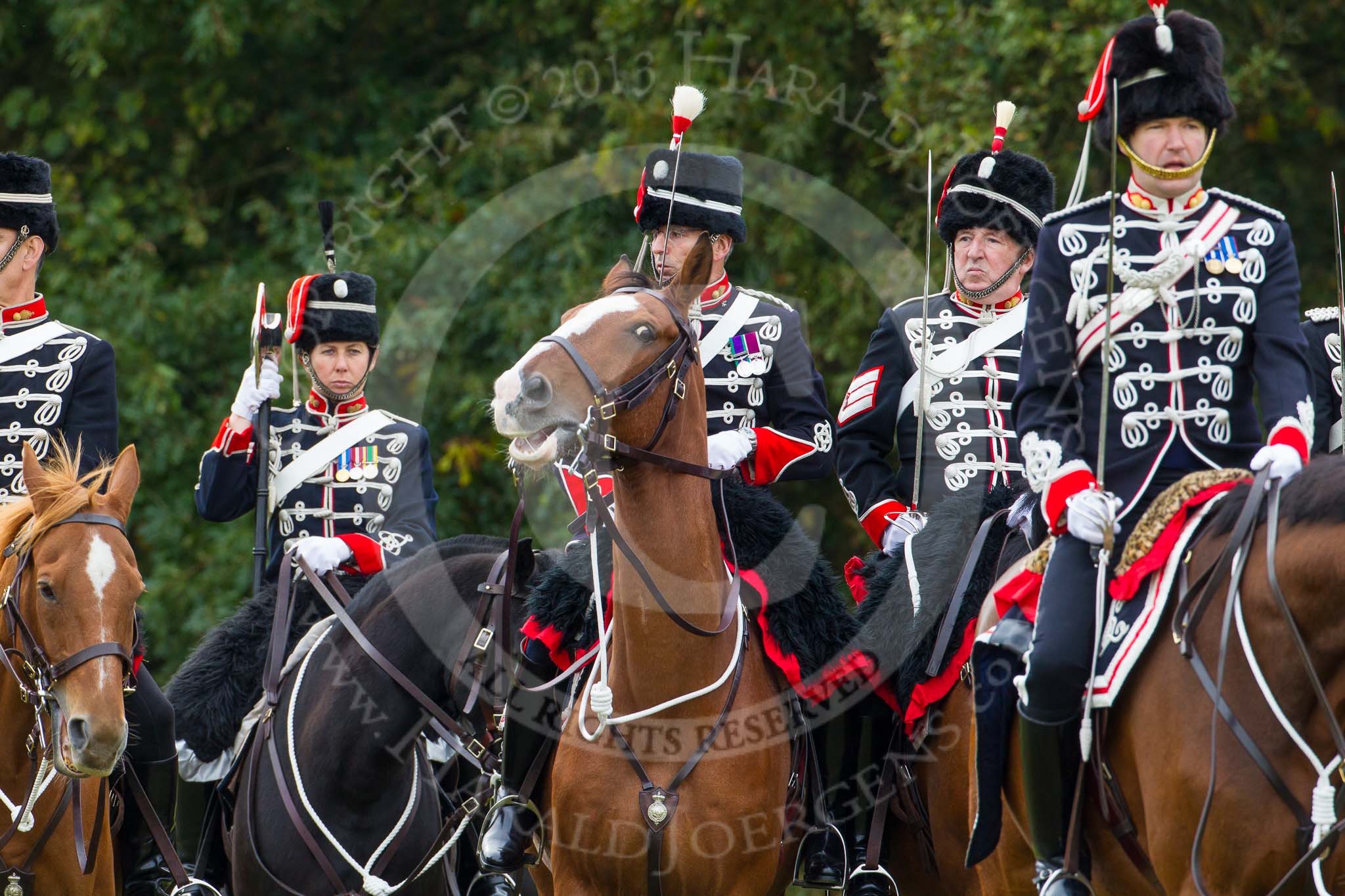 The Light Cavalry HAC Annual Review and Inspection 2014.
Guards Polo Club. Windsor Great Park,



on 12 October 2014 at 13:03, image #158