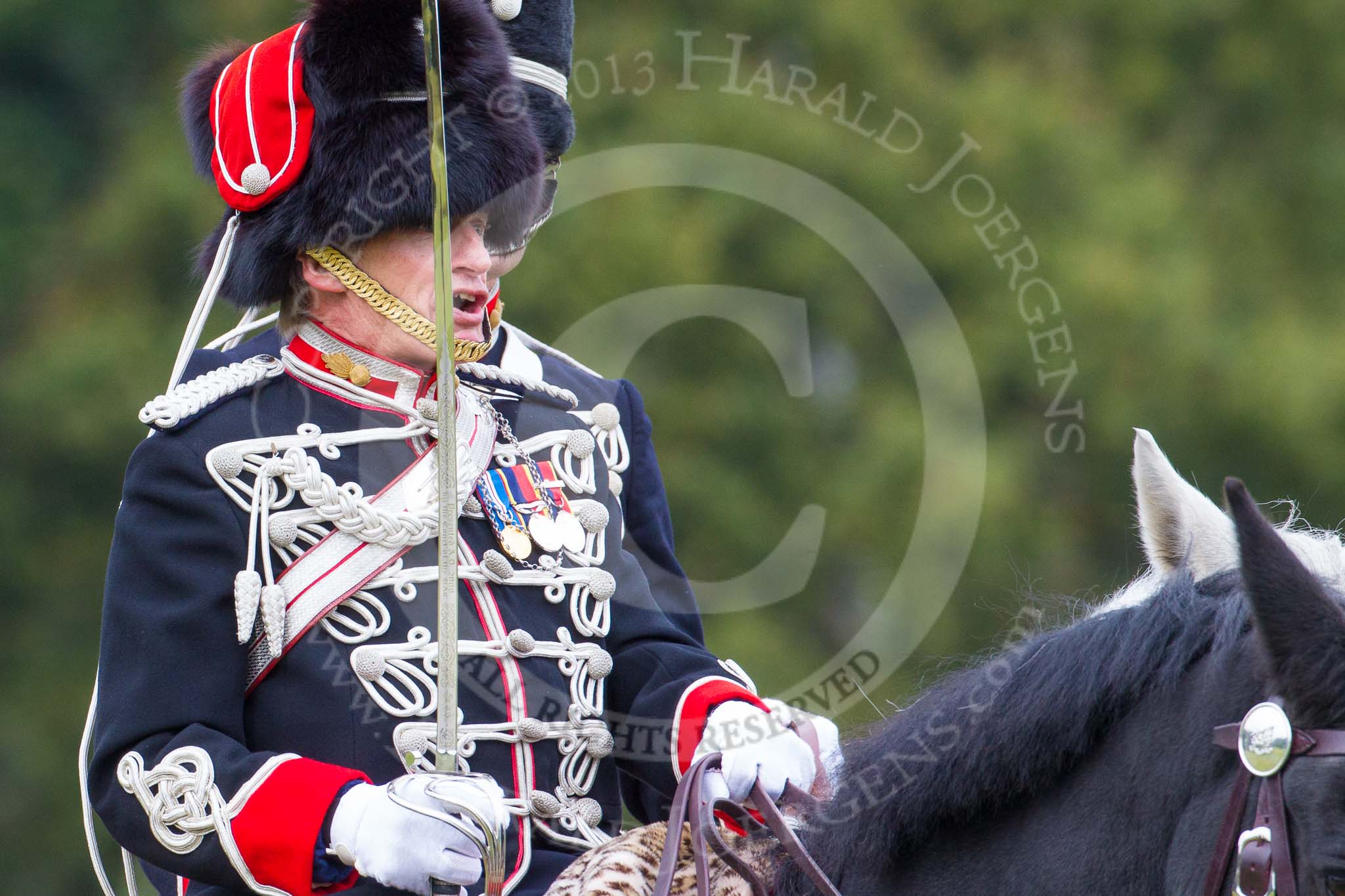 The Light Cavalry HAC Annual Review and Inspection 2014.
Guards Polo Club. Windsor Great Park,



on 12 October 2014 at 13:11, image #201