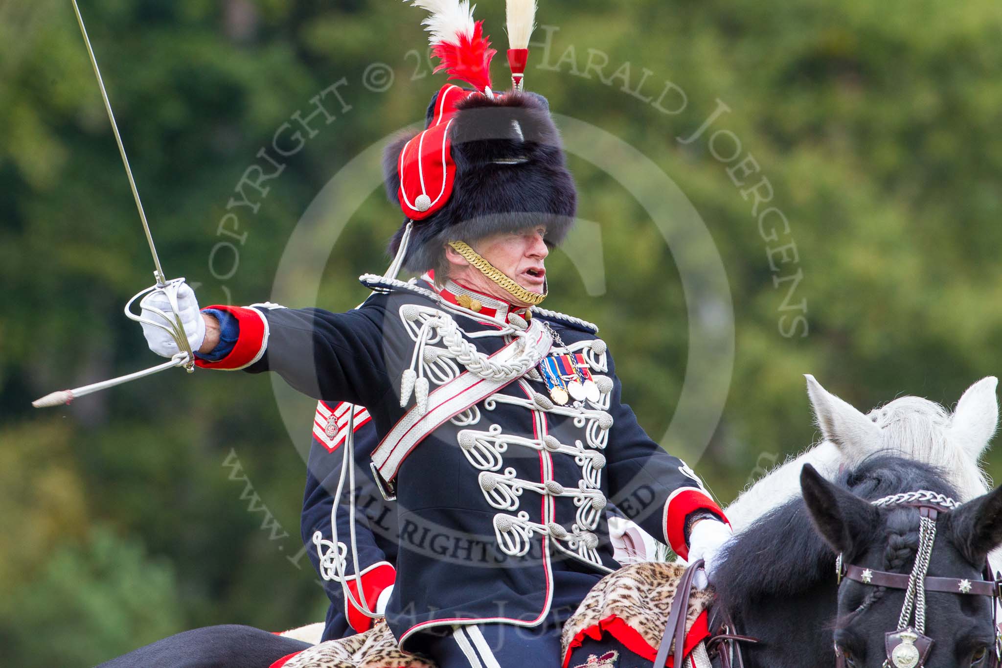 The Light Cavalry HAC Annual Review and Inspection 2014.
Guards Polo Club. Windsor Great Park,



on 12 October 2014 at 13:11, image #202