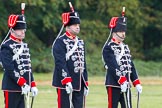 The Light Cavalry HAC Annual Review and Inspection 2014.
Guards Polo Club. Windsor Great Park,



on 12 October 2014 at 12:49, image #105