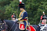 The Light Cavalry HAC Annual Review and Inspection 2014.
Guards Polo Club. Windsor Great Park,



on 12 October 2014 at 12:56, image #133