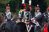 The Light Cavalry HAC Annual Review and Inspection 2014.
Guards Polo Club. Windsor Great Park,



on 12 October 2014 at 12:57, image #134
