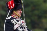 The Light Cavalry HAC Annual Review and Inspection 2014.
Guards Polo Club. Windsor Great Park,



on 12 October 2014 at 13:00, image #148