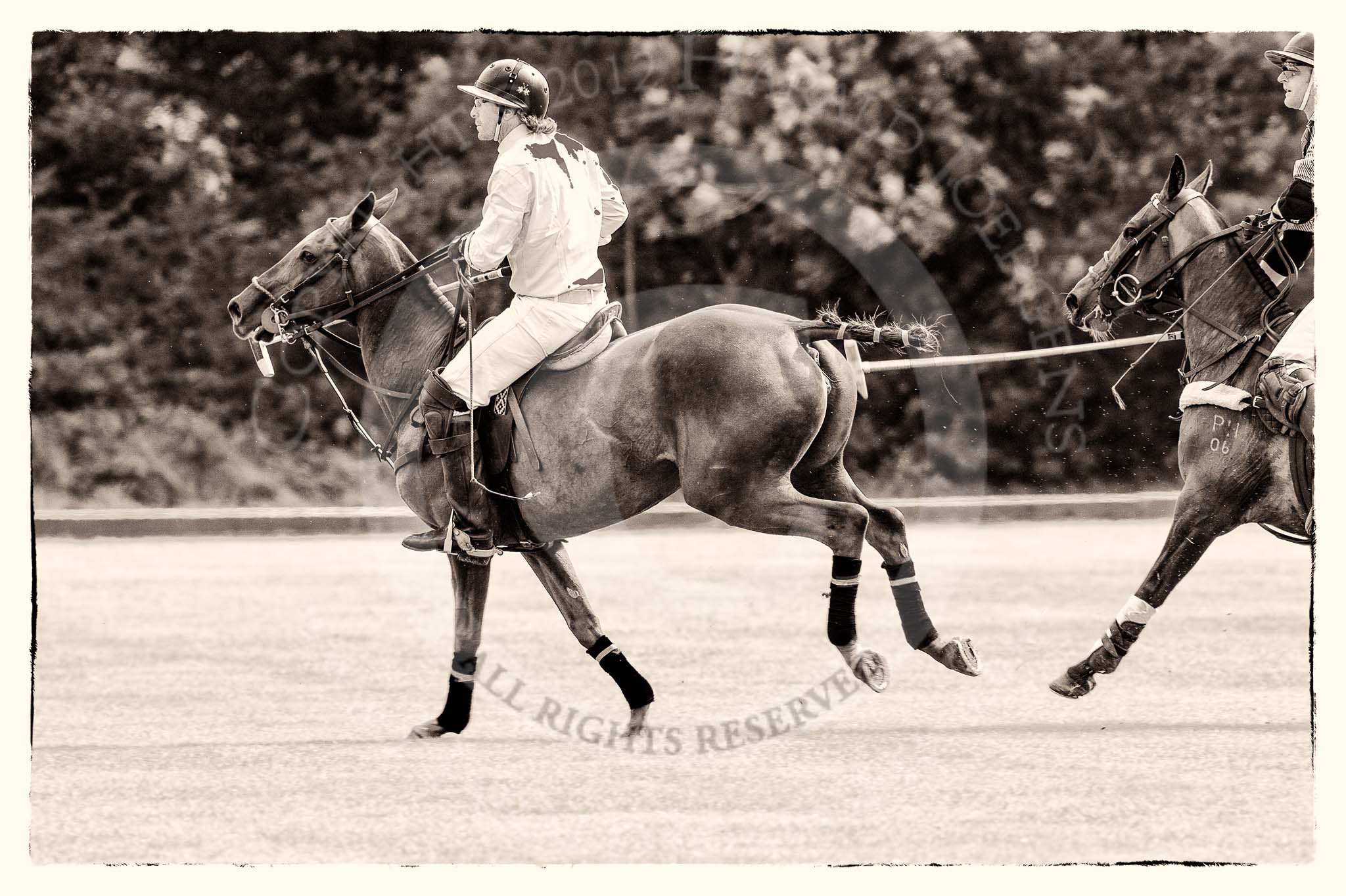 7th Heritage Polo Cup semi-finals: Justo Saveedra, Team Emerging Switzerland..
Hurtwood Park Polo Club,
Ewhurst Green,
Surrey,
United Kingdom,
on 04 August 2012 at 11:06, image #7