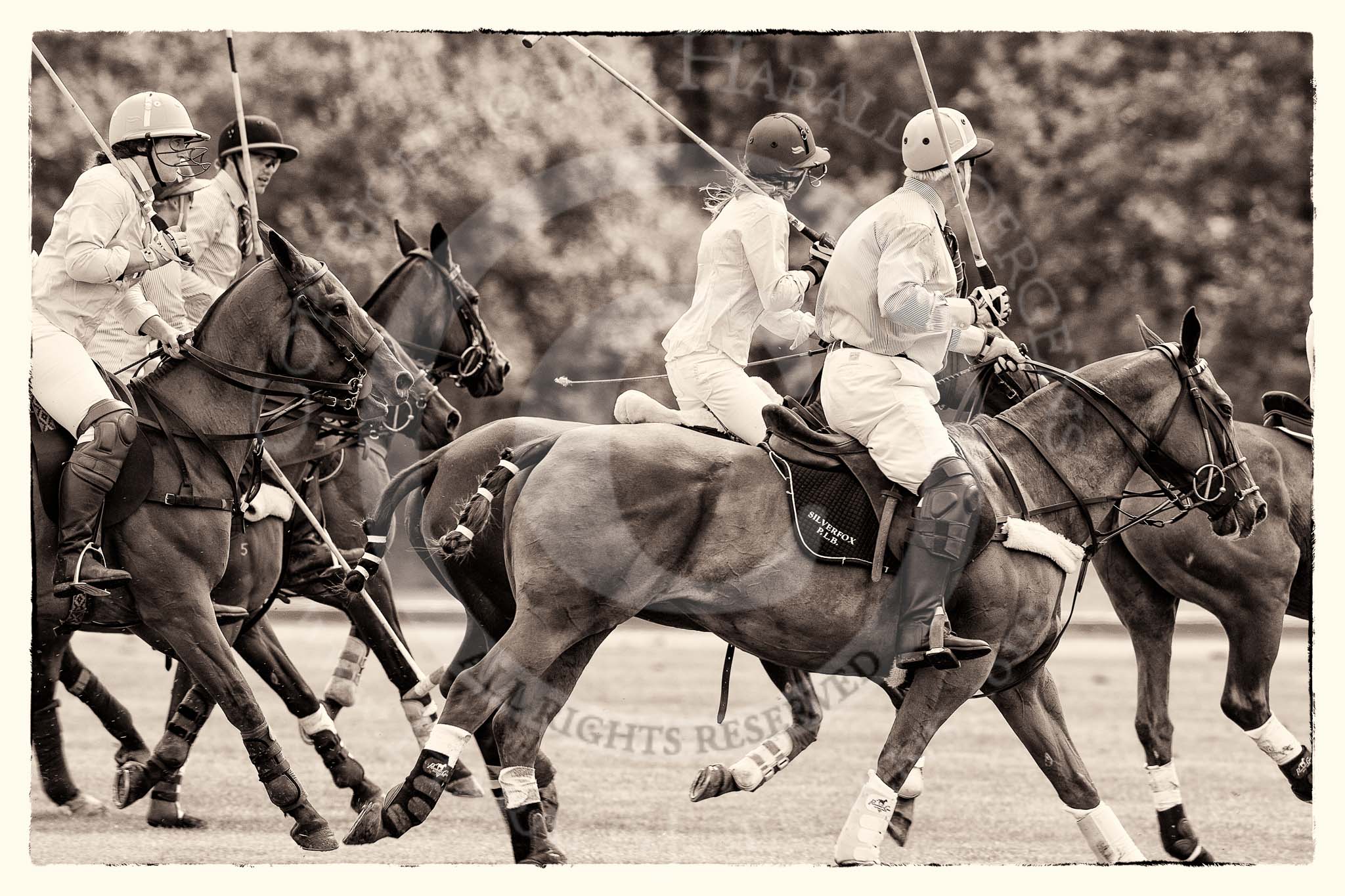 7th Heritage Polo Cup semi-finals: Parke Bradley, Team Silver Fox USA & Clare Payne, Team Emerging Switzerland..
Hurtwood Park Polo Club,
Ewhurst Green,
Surrey,
United Kingdom,
on 04 August 2012 at 11:10, image #22