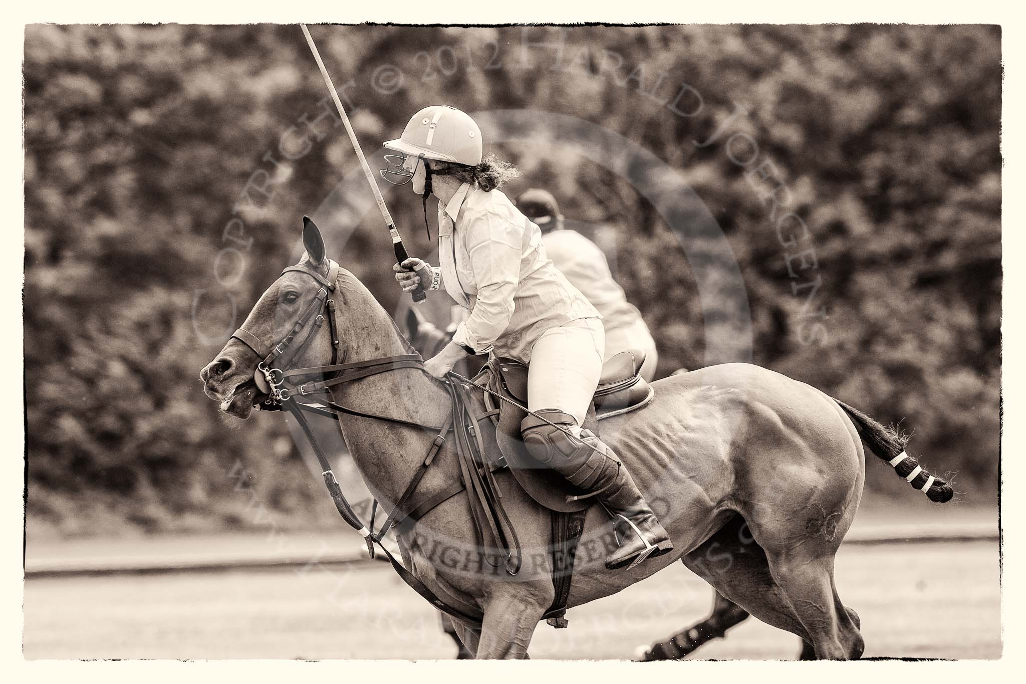 7th Heritage Polo Cup semi-finals: Sarah Krasker, Team Emerging Switzerland..
Hurtwood Park Polo Club,
Ewhurst Green,
Surrey,
United Kingdom,
on 04 August 2012 at 11:11, image #24