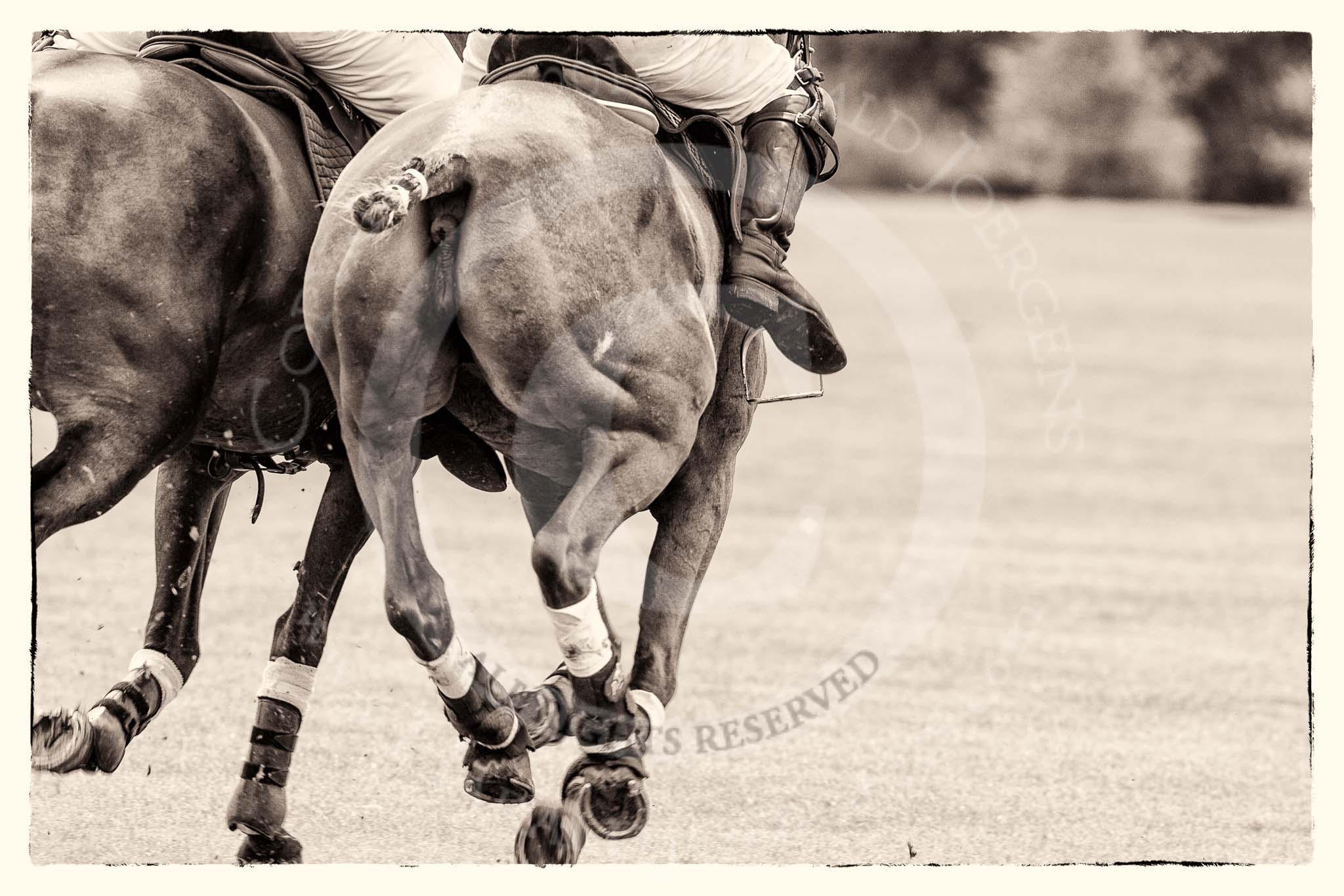 7th Heritage Polo Cup semi-finals: HERITAGE POLO ride off..
Hurtwood Park Polo Club,
Ewhurst Green,
Surrey,
United Kingdom,
on 04 August 2012 at 11:11, image #26