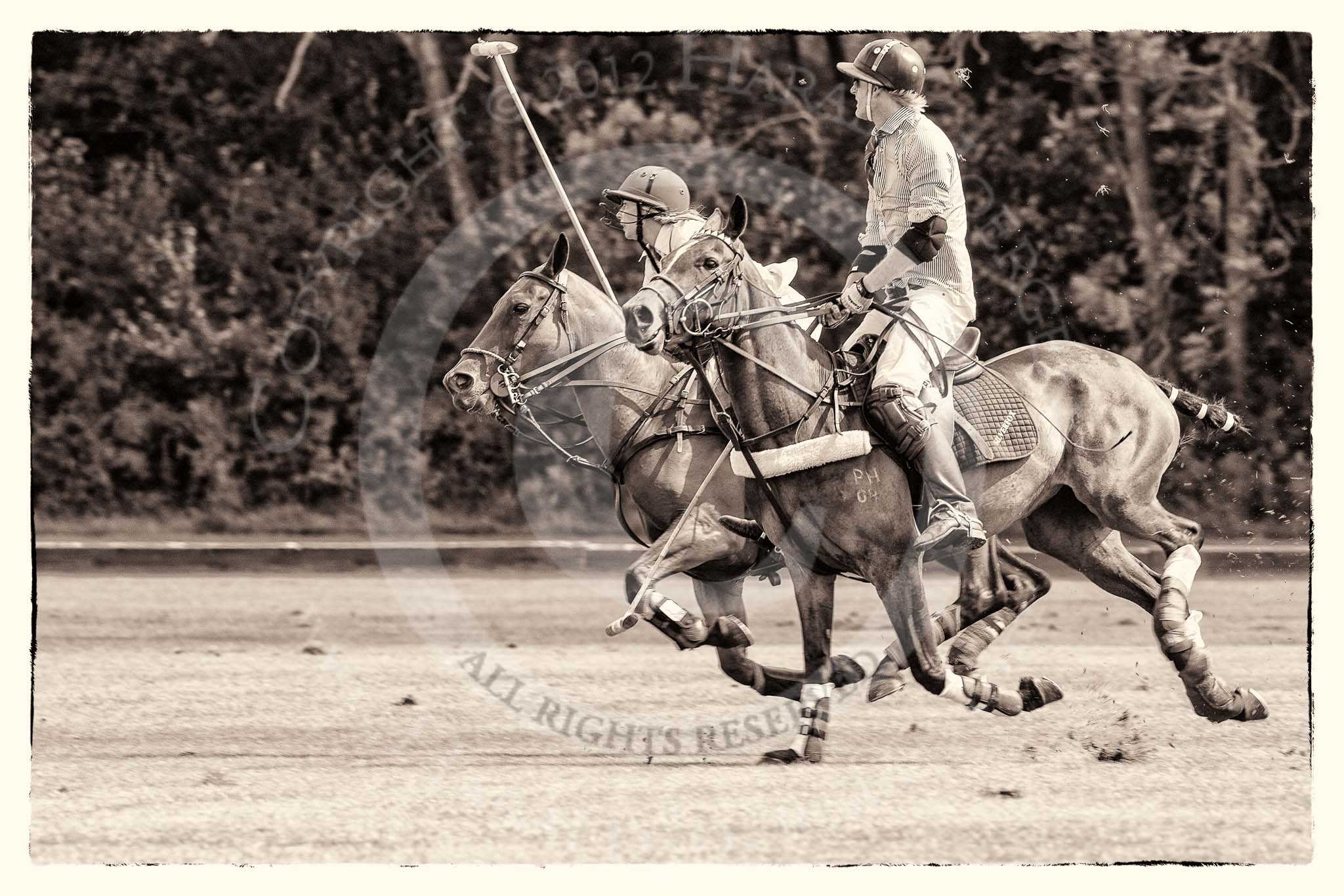 7th Heritage Polo Cup semi-finals: Henry Fisher, Team Silver Fox USA..
Hurtwood Park Polo Club,
Ewhurst Green,
Surrey,
United Kingdom,
on 04 August 2012 at 11:19, image #32