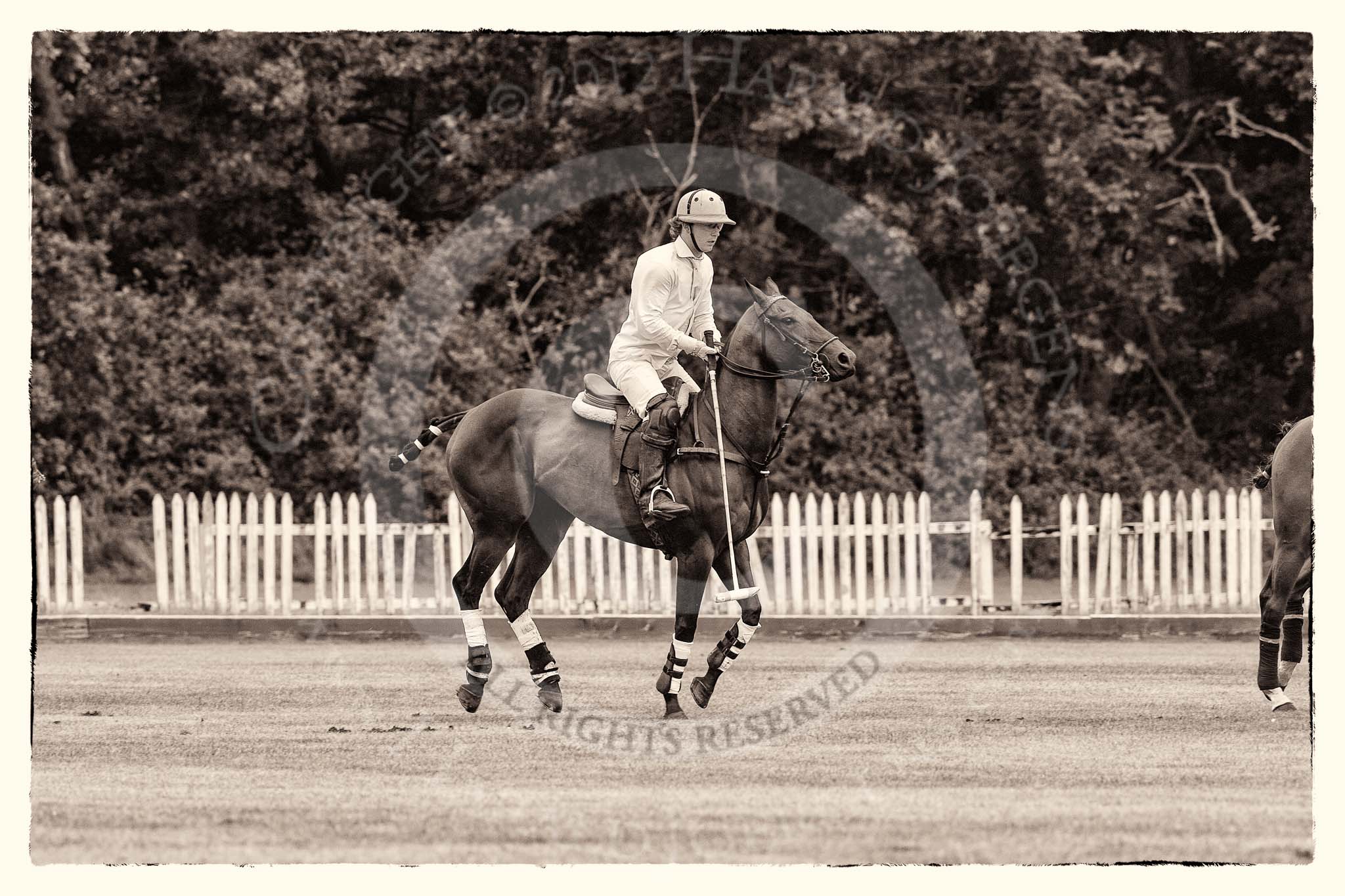 7th Heritage Polo Cup semi-finals: Nico Talamoni, Team Emerging Switzerland..
Hurtwood Park Polo Club,
Ewhurst Green,
Surrey,
United Kingdom,
on 04 August 2012 at 11:30, image #46