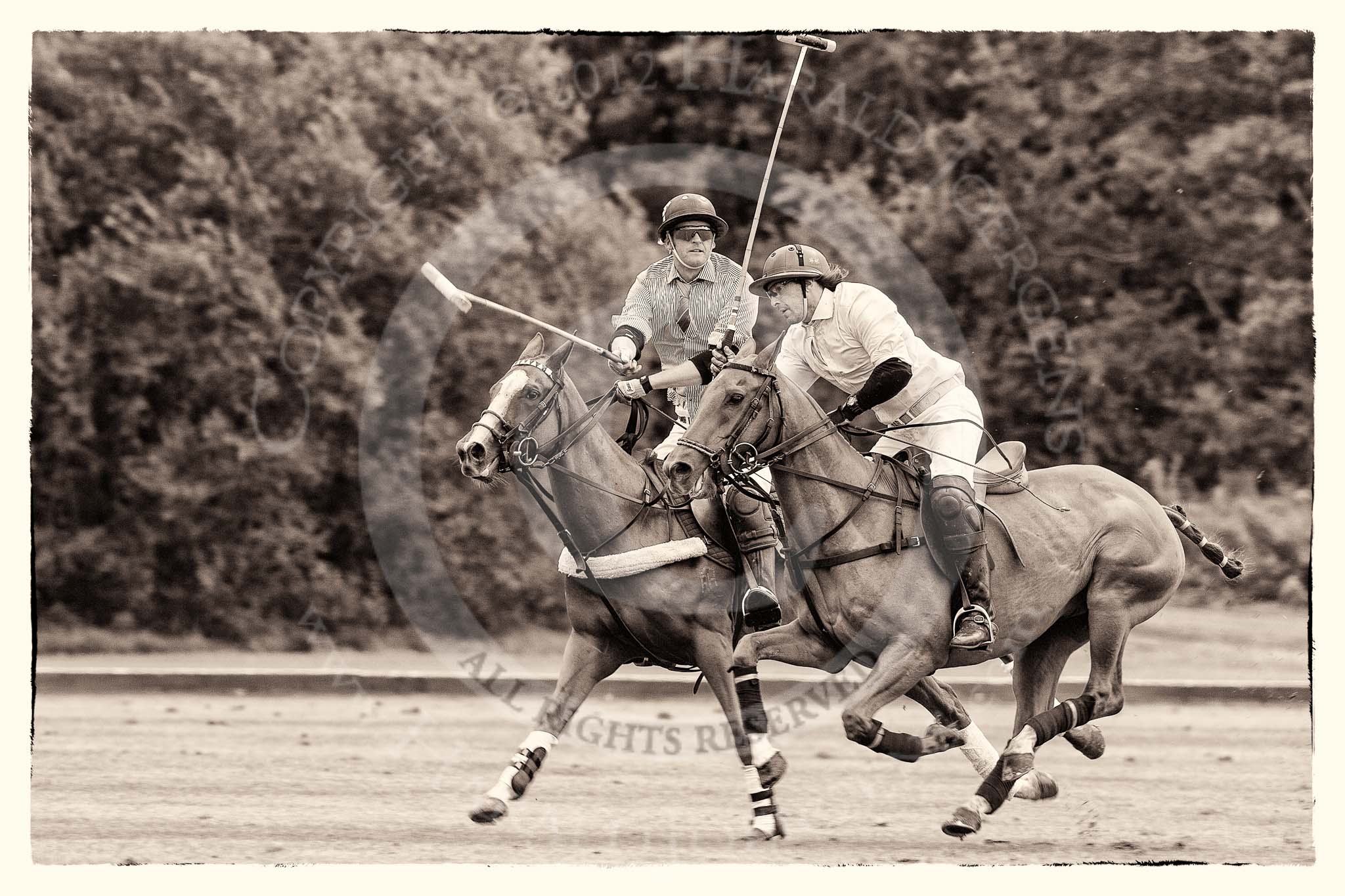 7th Heritage Polo Cup semi-finals: Hook Henry Foster, Team Silver Fox USA, & Justo Saveedra, Team Emerging Switzerland..
Hurtwood Park Polo Club,
Ewhurst Green,
Surrey,
United Kingdom,
on 04 August 2012 at 11:33, image #56