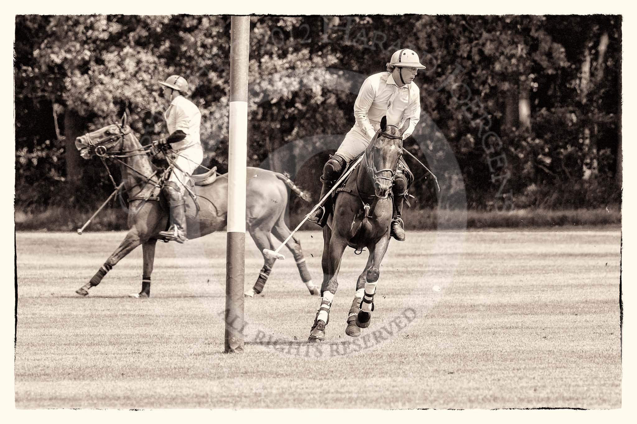 7th Heritage Polo Cup semi-finals: Nico Talamoni, Team Emerging Switzerland..
Hurtwood Park Polo Club,
Ewhurst Green,
Surrey,
United Kingdom,
on 04 August 2012 at 11:36, image #65