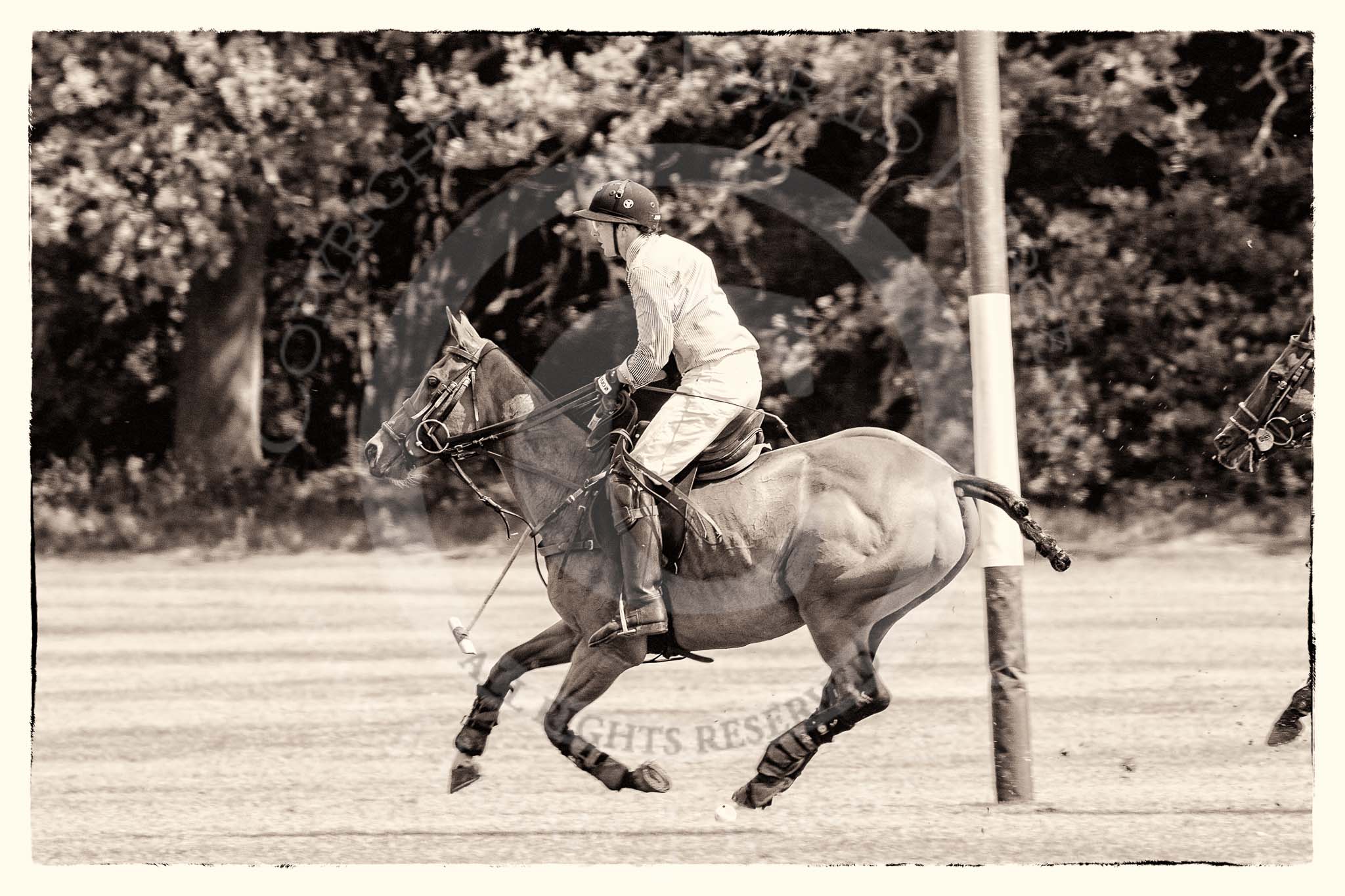 7th Heritage Polo Cup semi-finals: John Martin, Team Silver Fox USA..
Hurtwood Park Polo Club,
Ewhurst Green,
Surrey,
United Kingdom,
on 04 August 2012 at 11:37, image #69