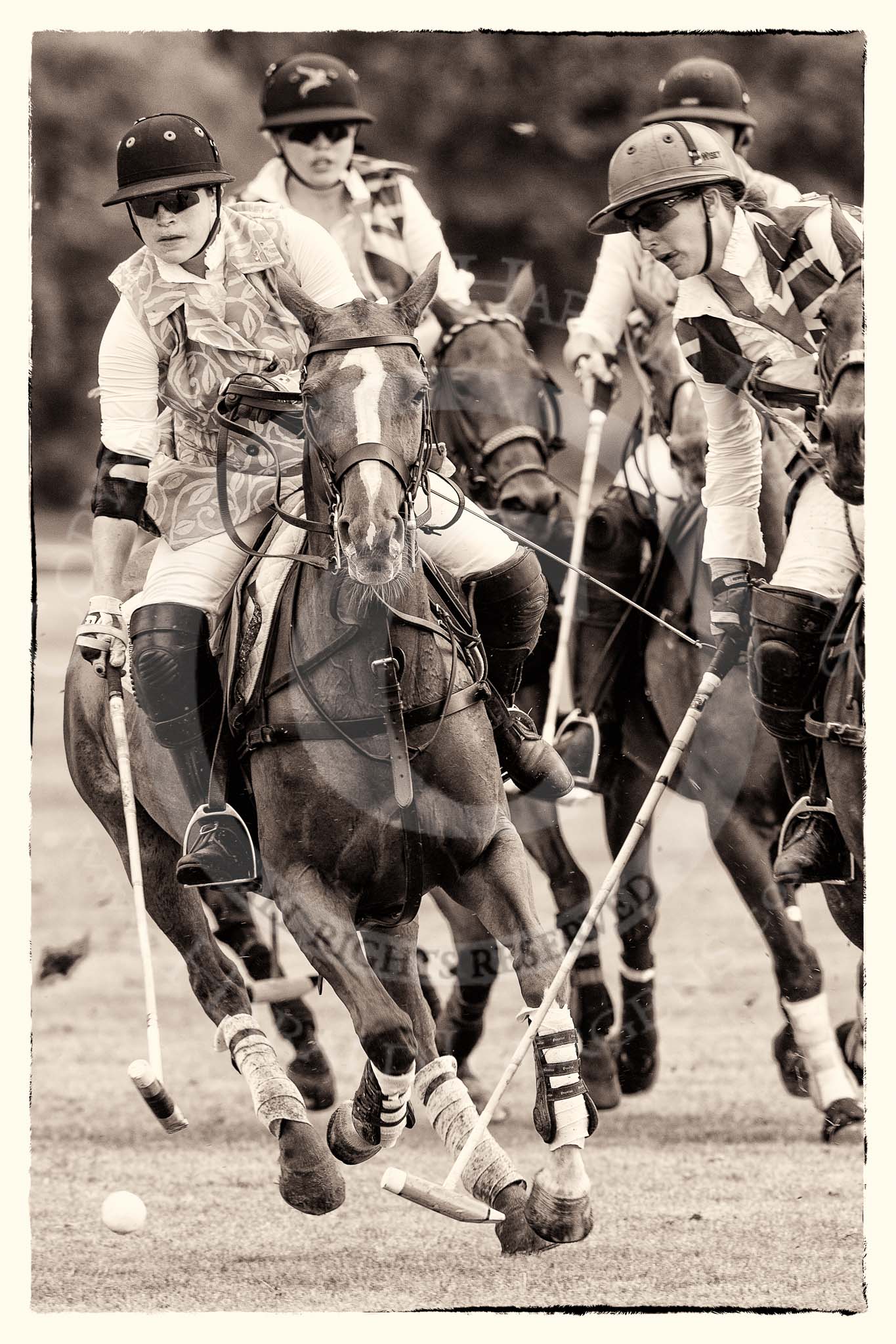 7th Heritage Polo Cup semi-finals: Sarah Wisman is off followed by Heloise Lorentzen..
Hurtwood Park Polo Club,
Ewhurst Green,
Surrey,
United Kingdom,
on 04 August 2012 at 13:33, image #153