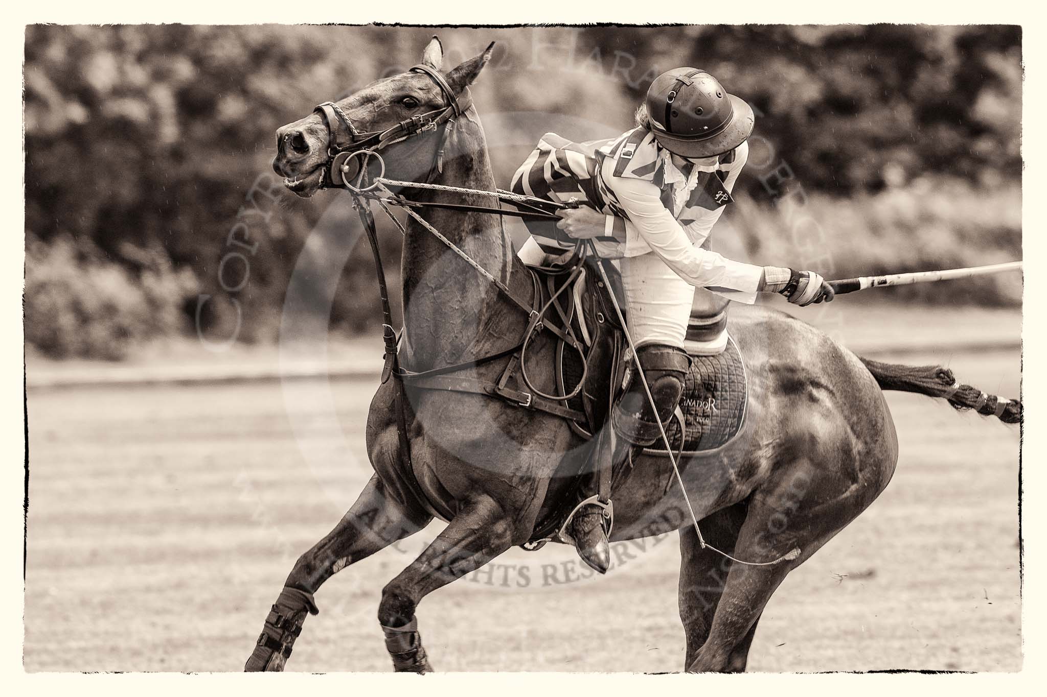 7th Heritage Polo Cup semi-finals: Sarah Wisman taking a nearside backshot..
Hurtwood Park Polo Club,
Ewhurst Green,
Surrey,
United Kingdom,
on 04 August 2012 at 13:35, image #158
