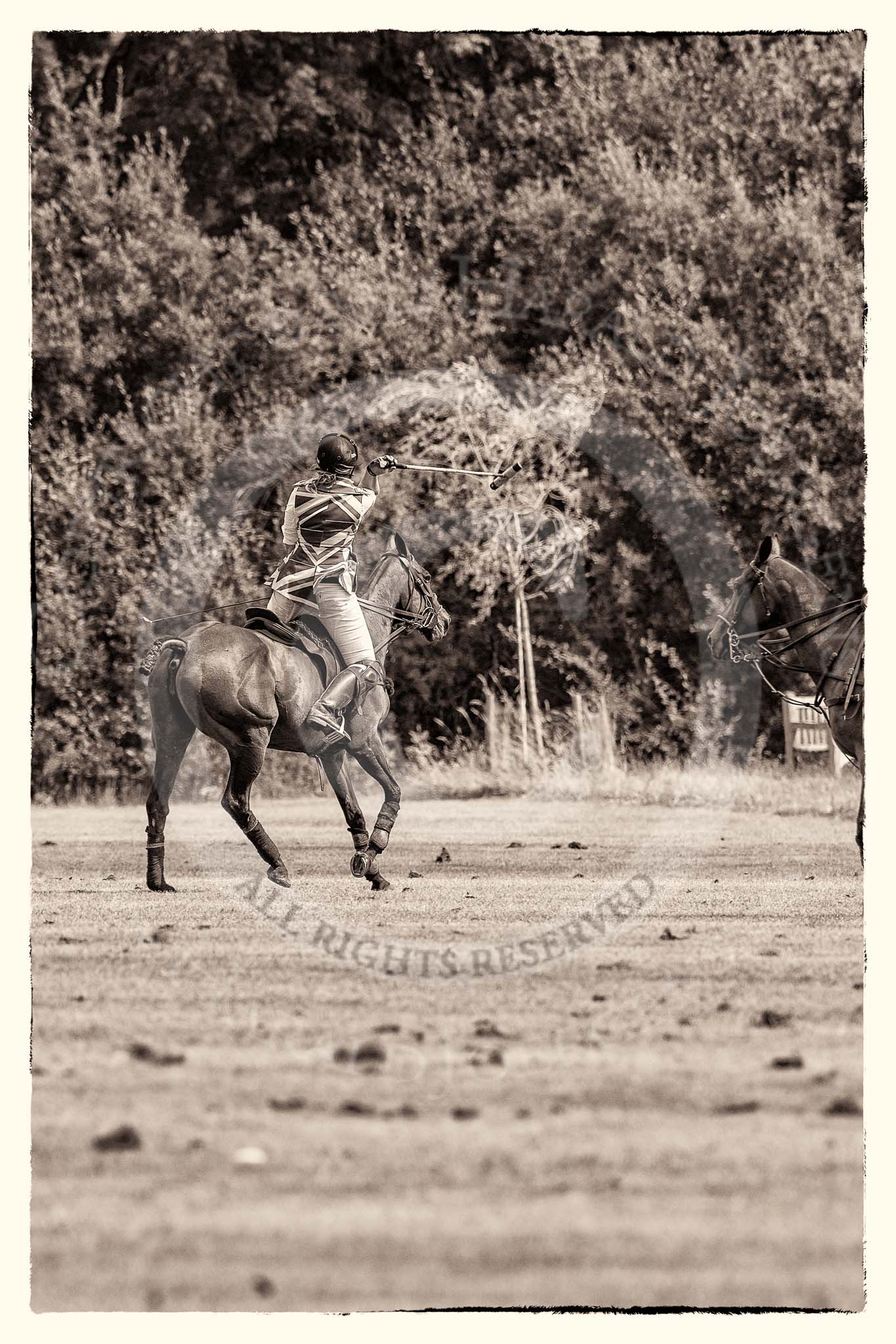 7th Heritage Polo Cup semi-finals: Rosie Ross..
Hurtwood Park Polo Club,
Ewhurst Green,
Surrey,
United Kingdom,
on 04 August 2012 at 14:43, image #222