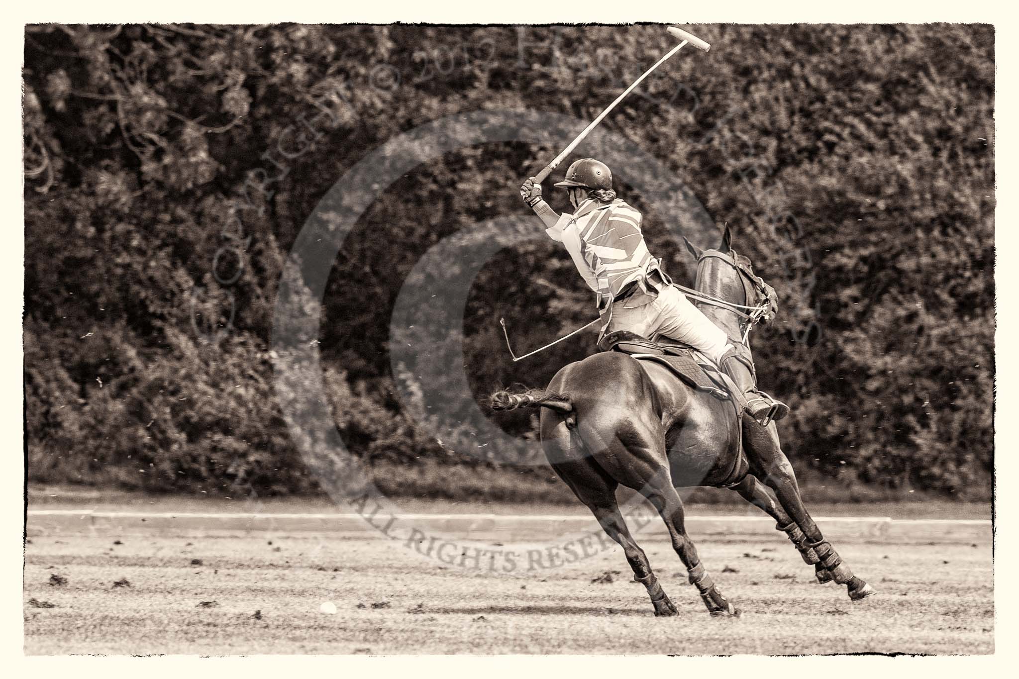 7th Heritage Polo Cup semi-finals: Sarah Wisman..
Hurtwood Park Polo Club,
Ewhurst Green,
Surrey,
United Kingdom,
on 04 August 2012 at 14:46, image #225