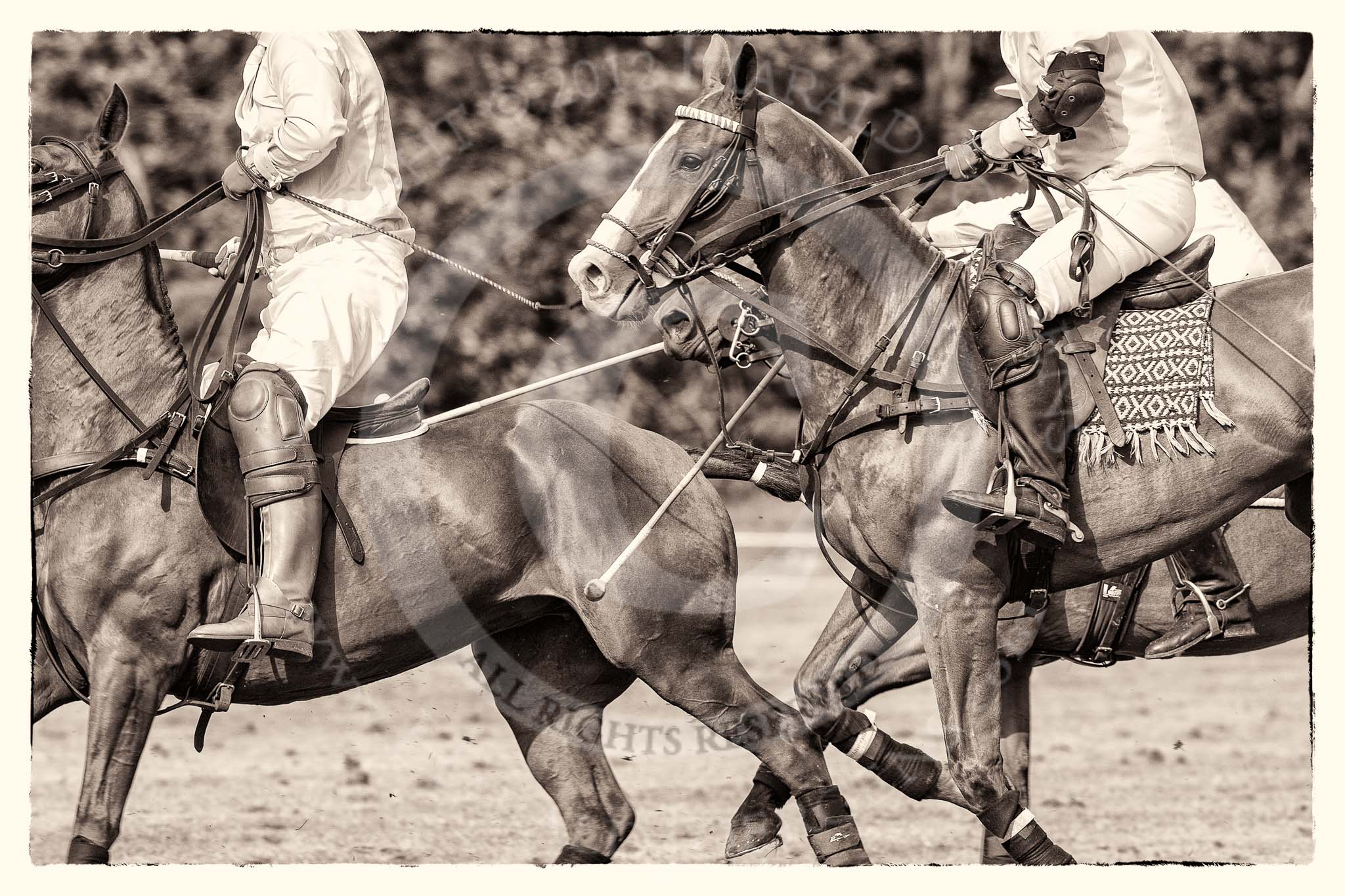 7th Heritage Polo Cup semi-finals: La Mariposa Argentina Polo Team..
Hurtwood Park Polo Club,
Ewhurst Green,
Surrey,
United Kingdom,
on 04 August 2012 at 16:49, image #327