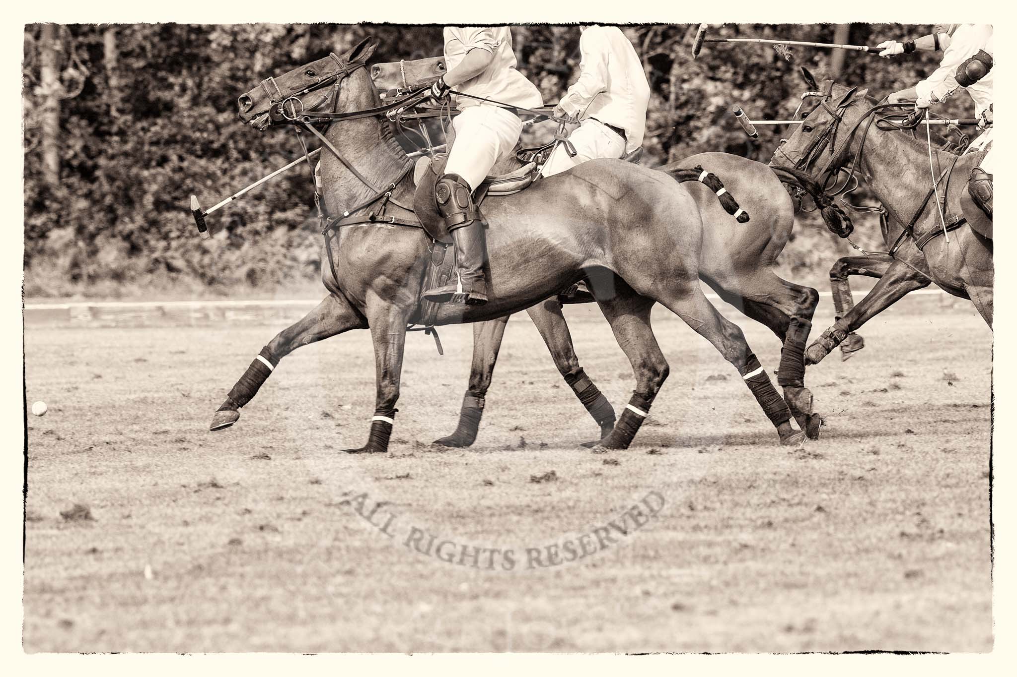 7th Heritage Polo Cup semi-finals: La Golondrina v La Mariposa..
Hurtwood Park Polo Club,
Ewhurst Green,
Surrey,
United Kingdom,
on 04 August 2012 at 16:50, image #333