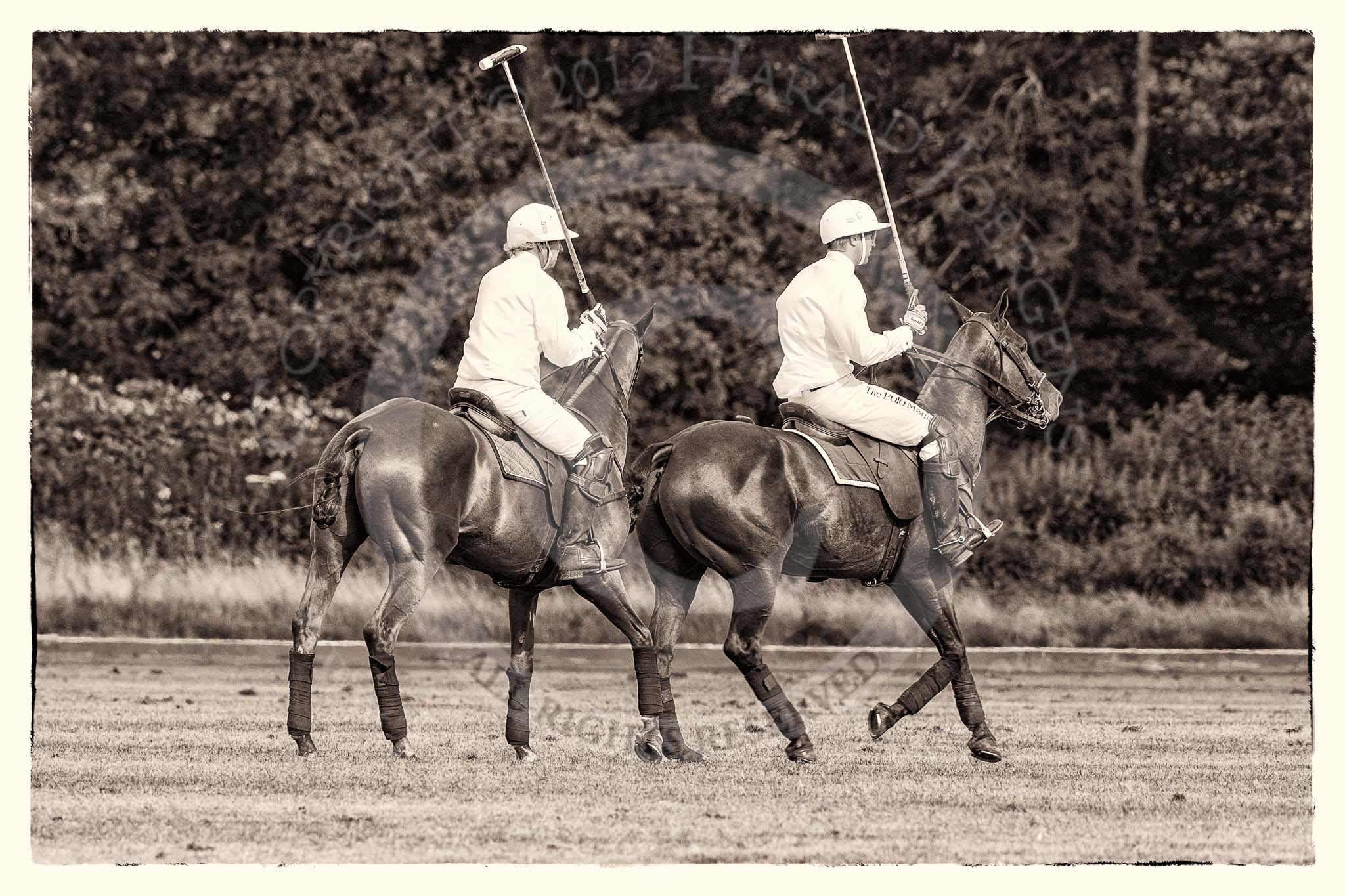 7th Heritage Polo Cup semi-finals: La Golondrina Polo Team Paul Oberschneider & Pedro Harrison..
Hurtwood Park Polo Club,
Ewhurst Green,
Surrey,
United Kingdom,
on 04 August 2012 at 16:51, image #334