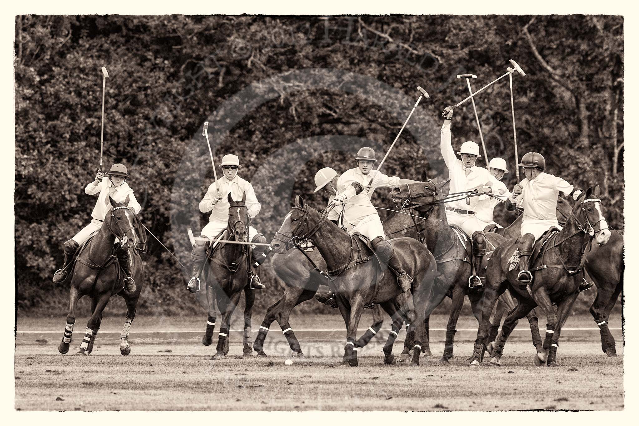 7th Heritage Polo Cup semi-finals: Game on: La Golondrina v La Mariposa..
Hurtwood Park Polo Club,
Ewhurst Green,
Surrey,
United Kingdom,
on 04 August 2012 at 16:52, image #337