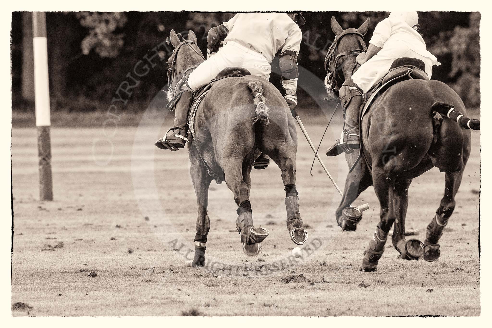 7th Heritage Polo Cup semi-finals: Sebastian Funes v Pepe Riglos..
Hurtwood Park Polo Club,
Ewhurst Green,
Surrey,
United Kingdom,
on 04 August 2012 at 16:56, image #341